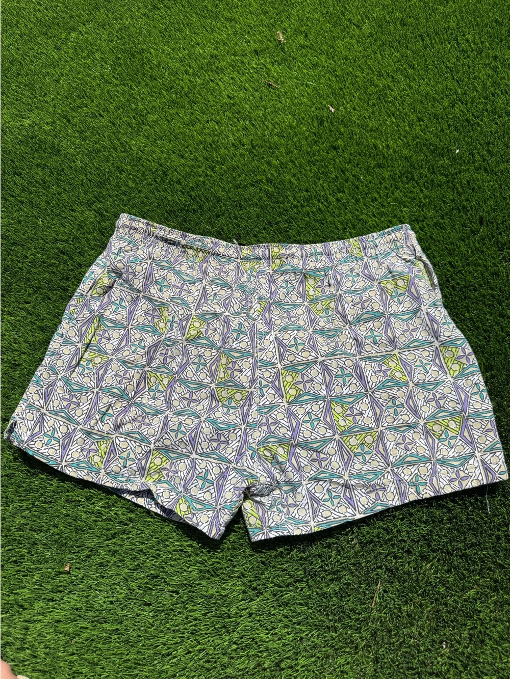 Vintage Bleu Ice swim shorts